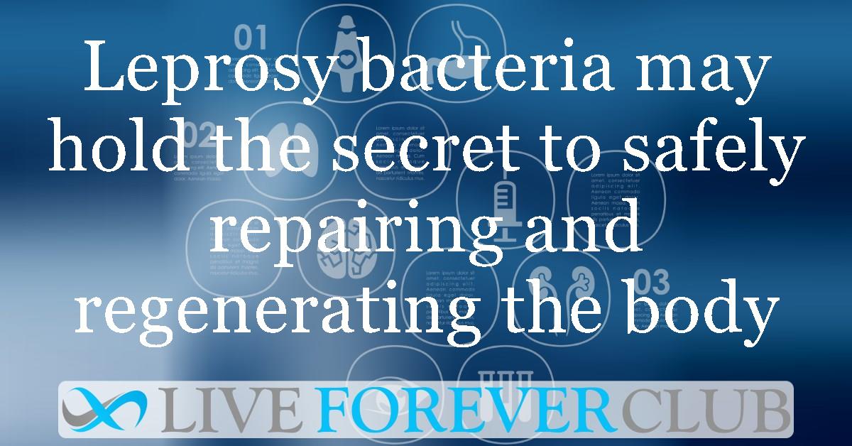 Leprosy bacteria may hold the secret to safely repairing and regenerating the body