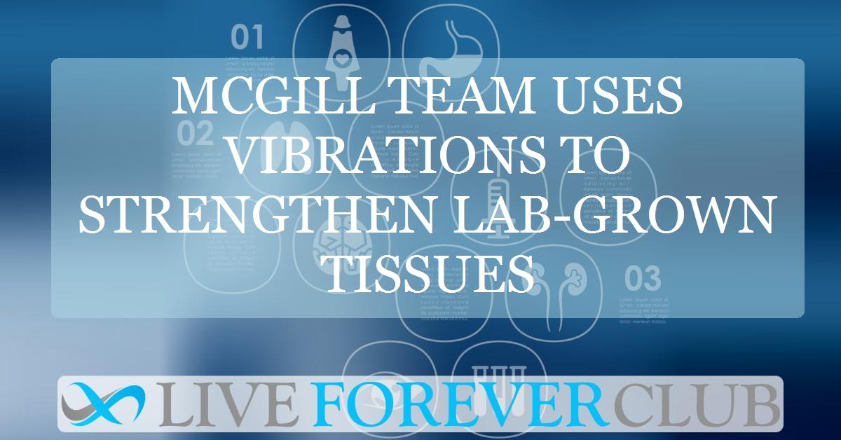 McGill team uses vibrations to strengthen lab-grown tissues