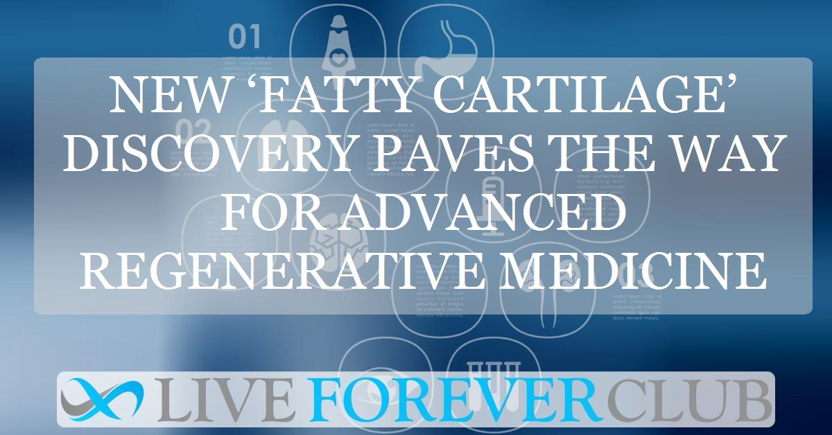 New ‘fatty cartilage’ discovery paves the way for advanced regenerative medicine