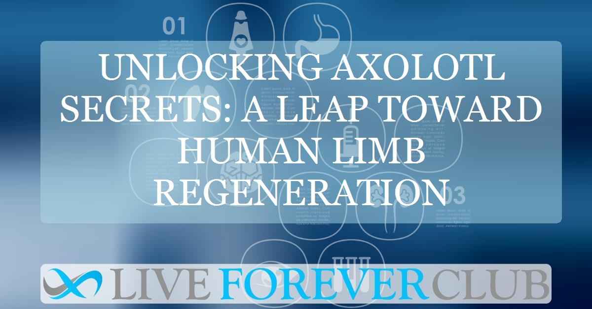 Unlocking axolotl secrets: A leap toward human limb regeneration