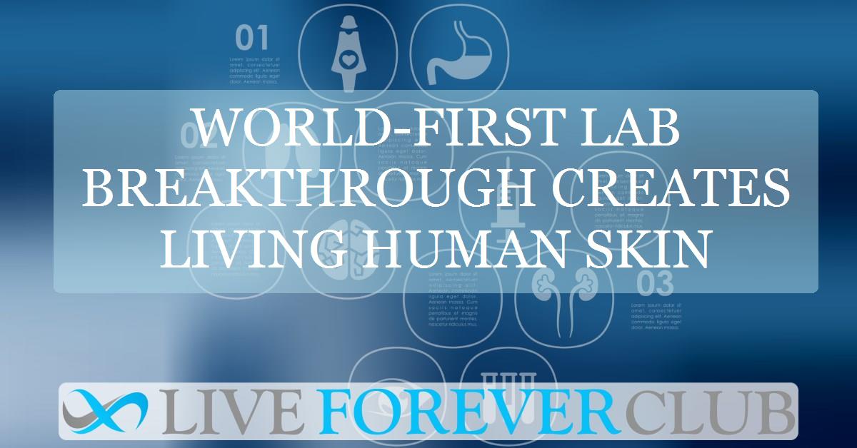 World-first lab breakthrough creates living human skin