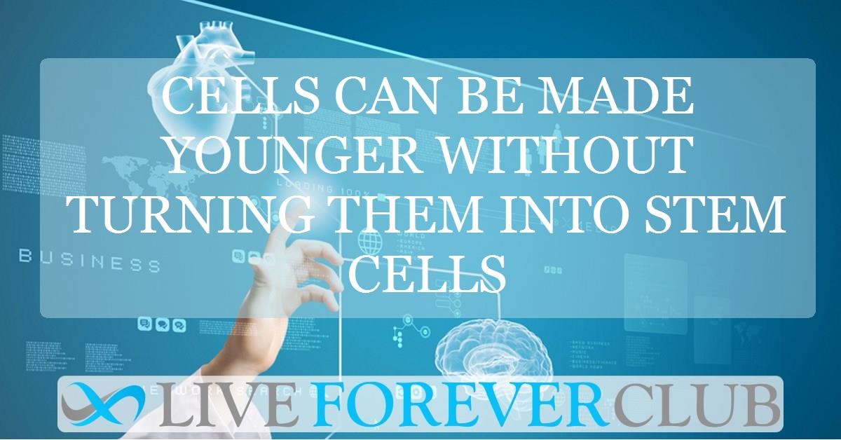 Cells can be made younger without turning them into stem cells