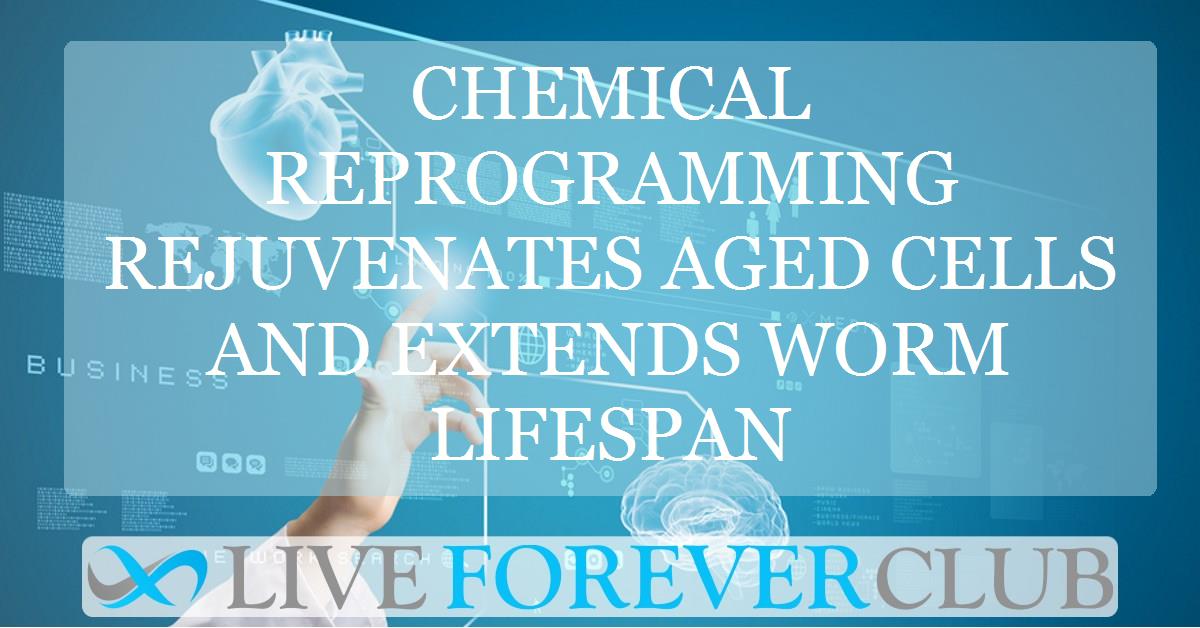 Chemical reprogramming rejuvenates aged cells and extends worm lifespan