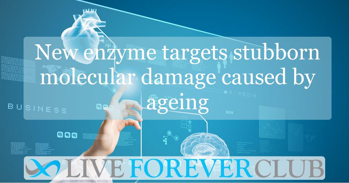 New enzyme targets stubborn molecular damage caused by ageing
