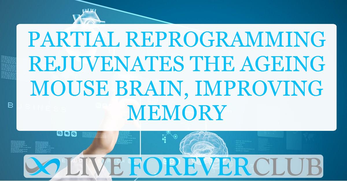 Partial reprogramming rejuvenates the ageing mouse brain, improving memory