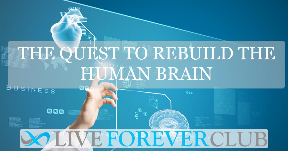 The quest to rebuild the human brain