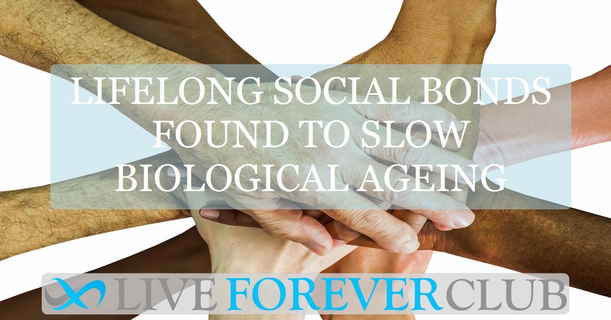 Lifelong social bonds found to slow biological ageing