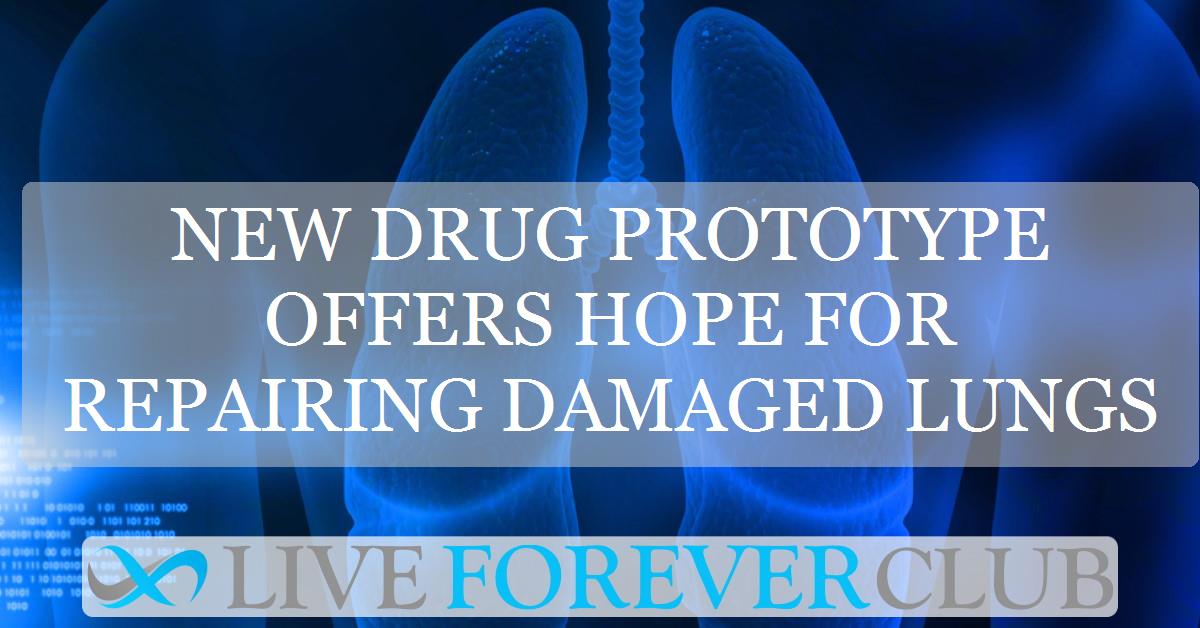 New drug prototype offers hope for repairing damaged lungs