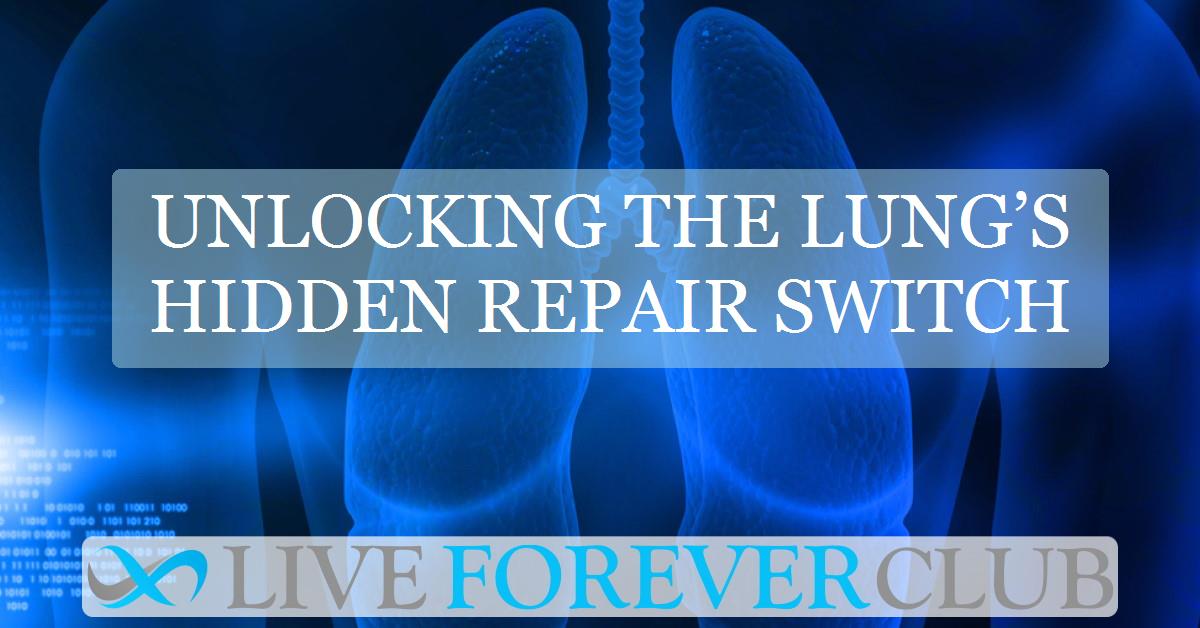 Unlocking the lung’s hidden repair switch