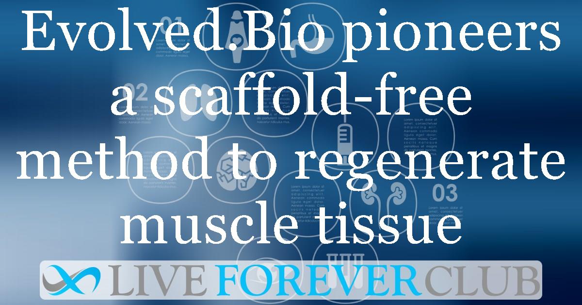 Evolved.Bio pioneers a scaffold-free method to regenerate muscle tissue