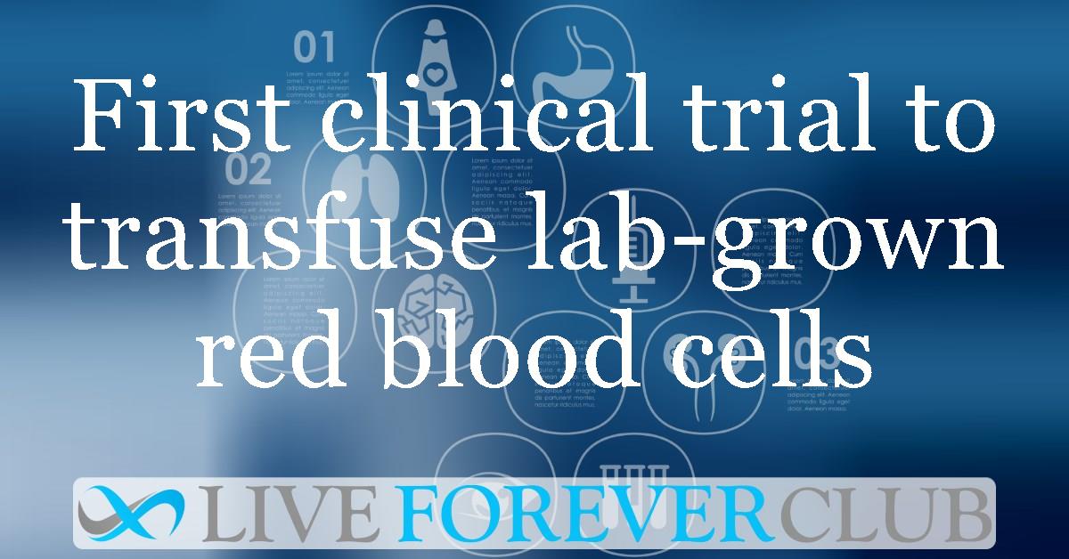 First clinical trial to transfuse lab-grown red blood cells