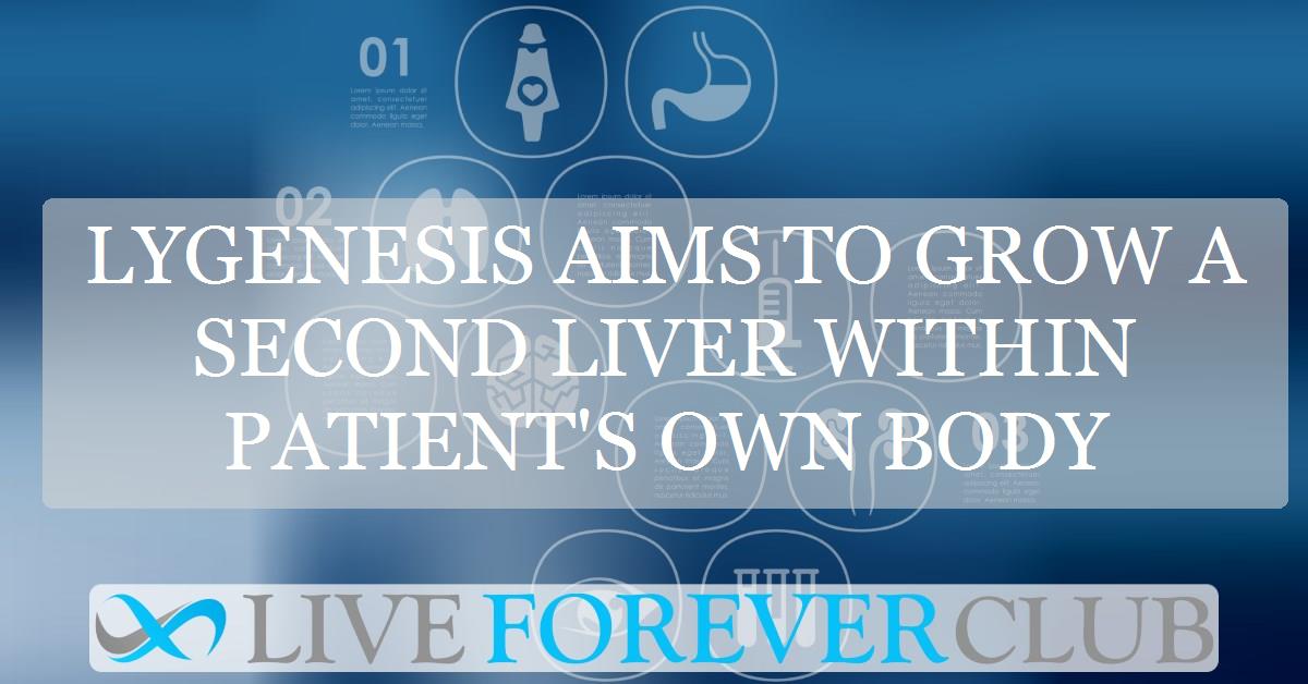 LyGenesis aims to grow a second liver within patient's own body