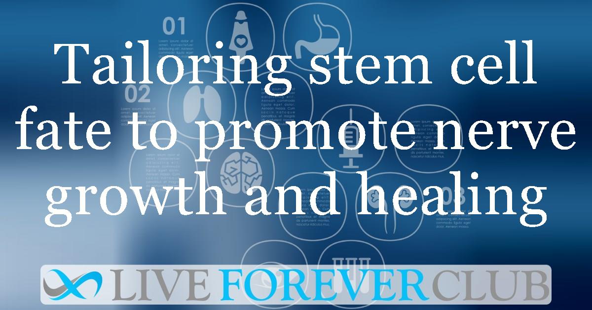 Tailoring stem cell fate to promote nerve growth and healing