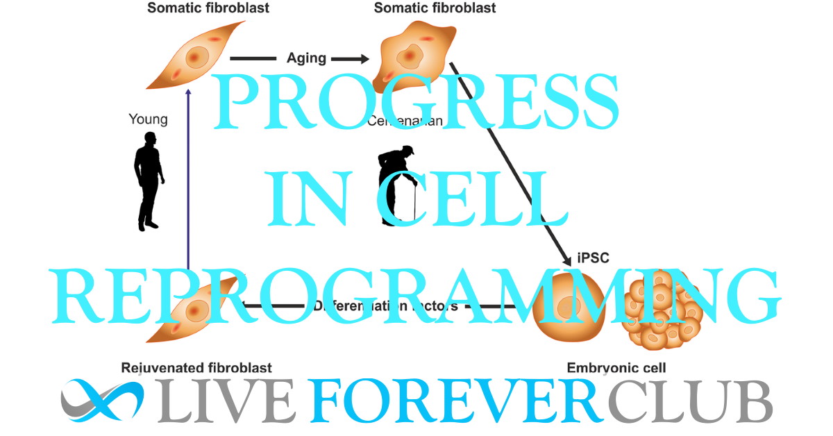 Goya et al review progress in cell reprogramming