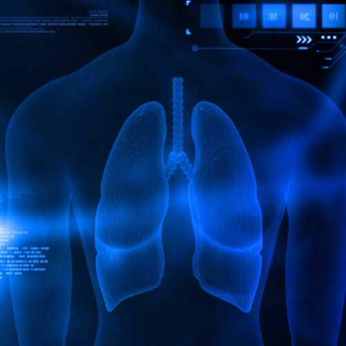 More Respiratory Disease information, news and resources