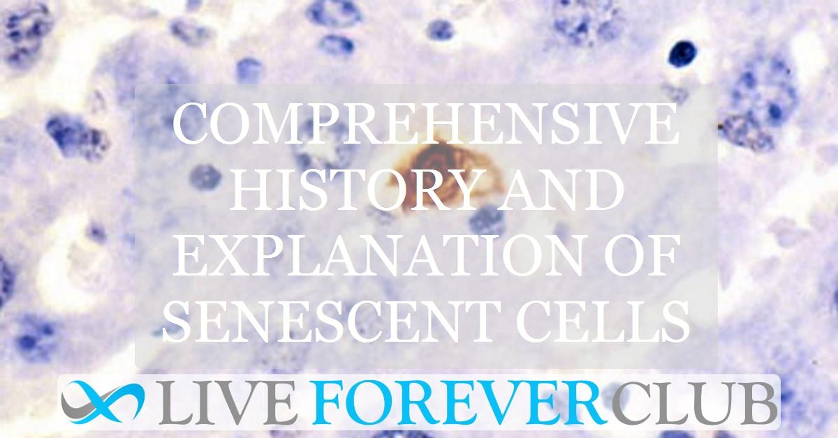 Comprehensive history and explanation of senescent cells