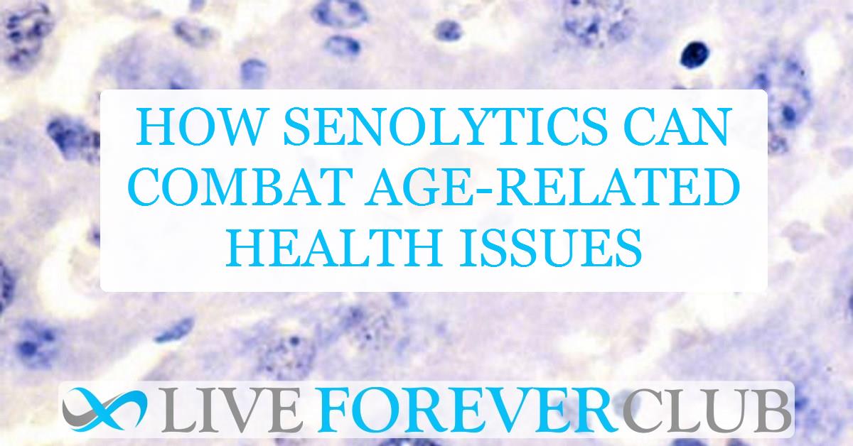 How senolytics can combat age-related health issues