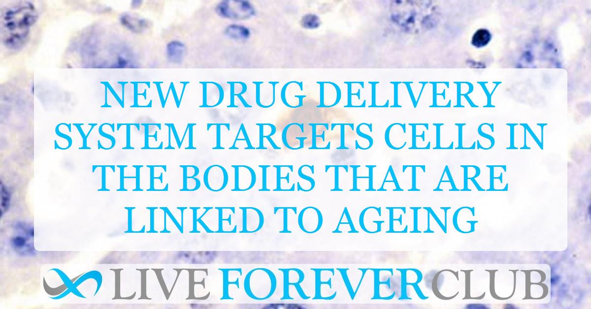 New drug delivery system targets cells in the bodies that are linked to ageing