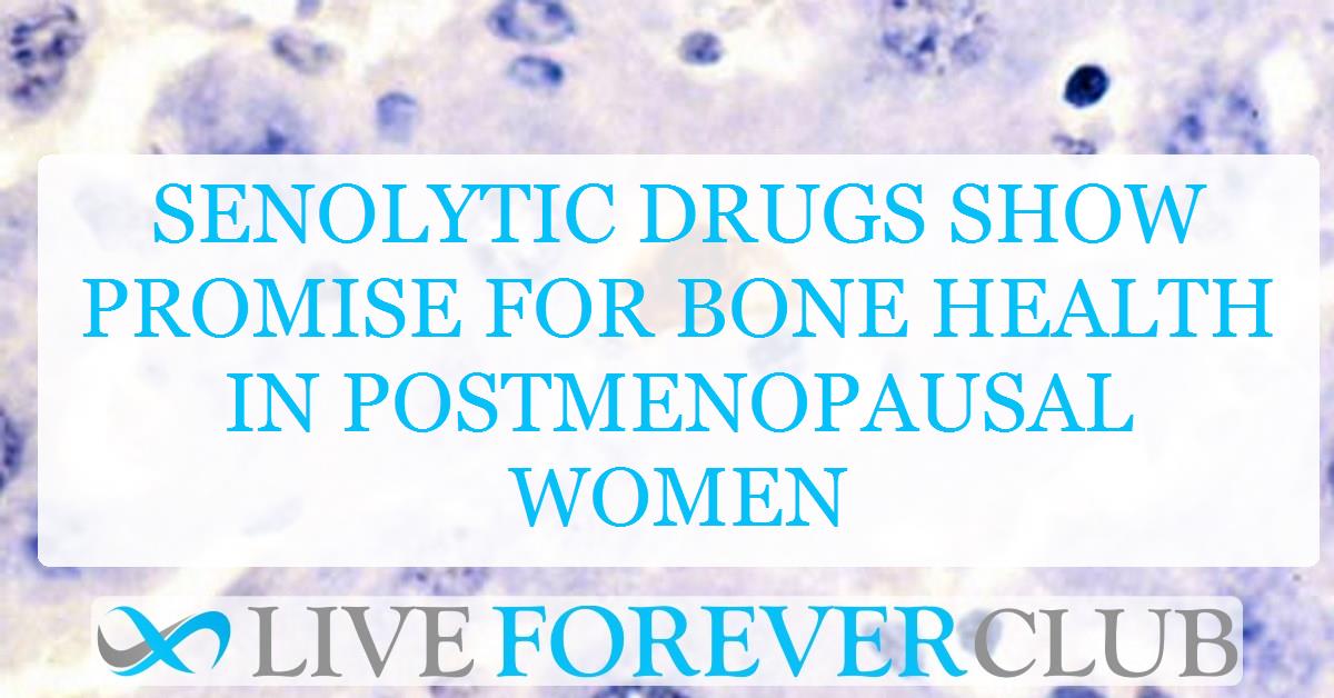 Senolytic drugs show promise for bone health in postmenopausal women