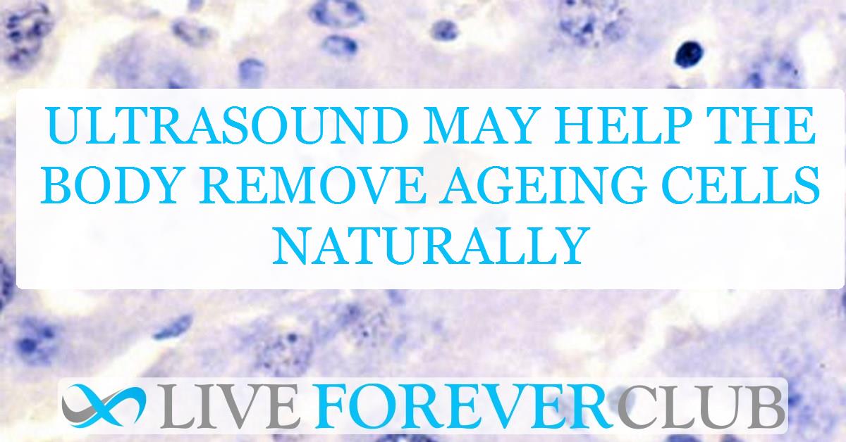 Ultrasound may help the body remove ageing cells naturally