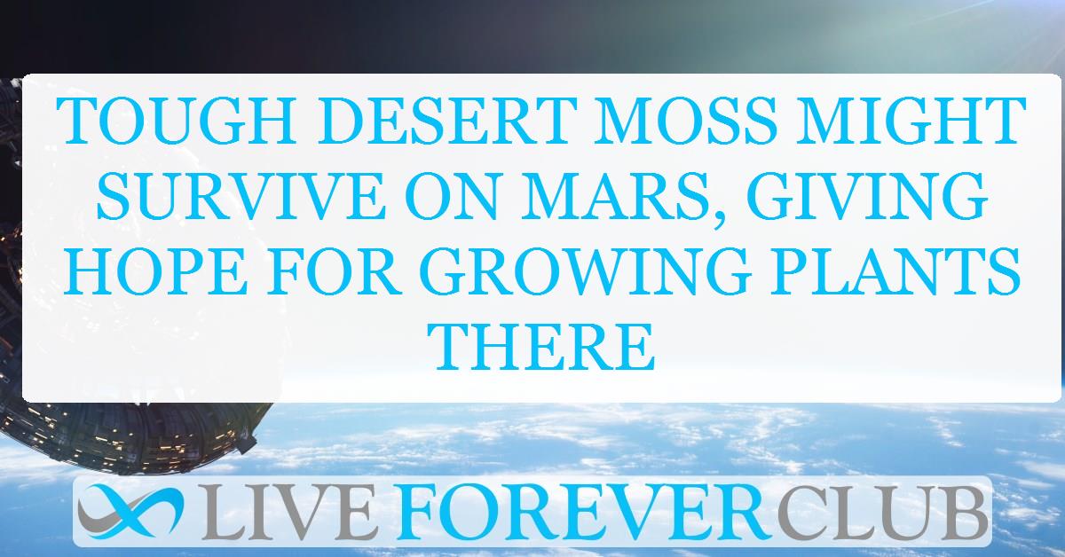 Tough desert moss might survive on Mars, giving hope for growing plants there