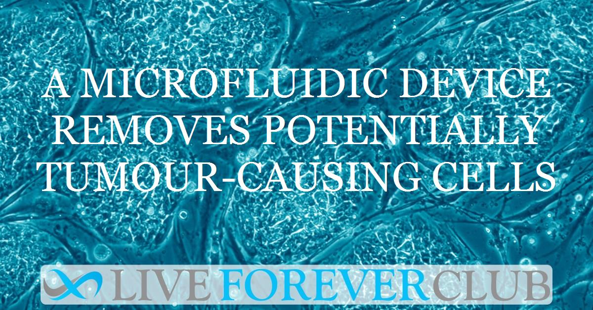 A microfluidic device removes potentially tumour-causing cells