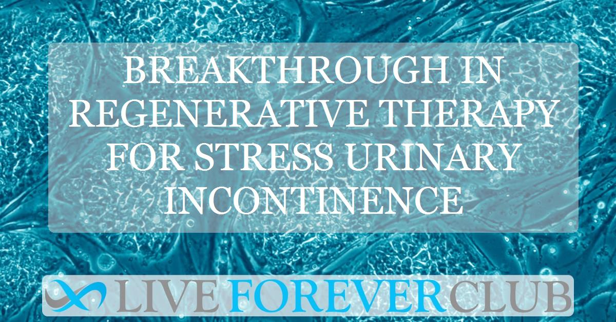 Breakthrough in regenerative therapy for stress urinary incontinence