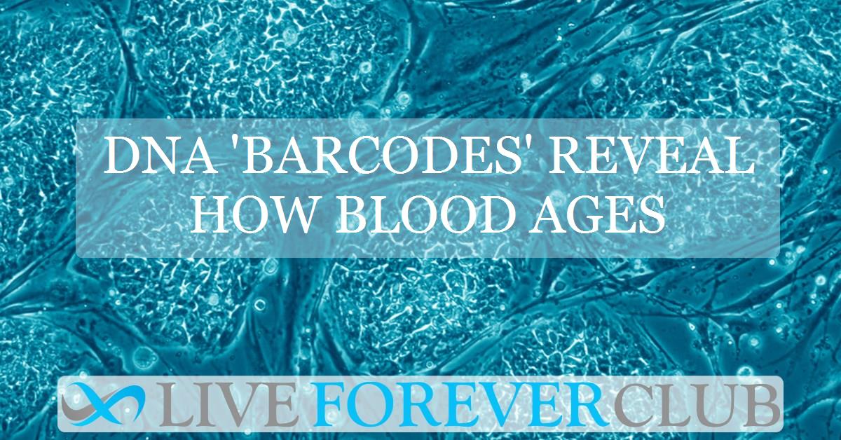 DNA 'barcodes' reveal how blood ages