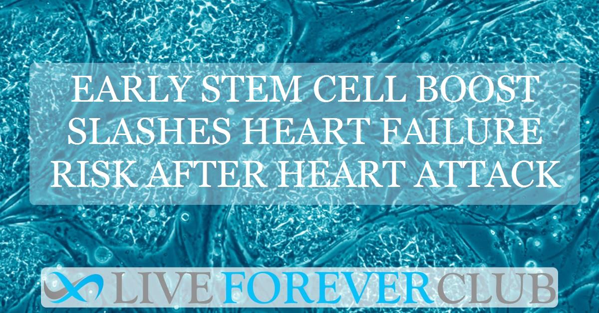 Early stem cell boost slashes heart failure risk after heart attack