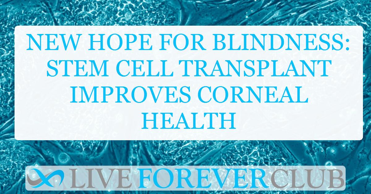 New hope for blindness: Stem cell transplant improves corneal health