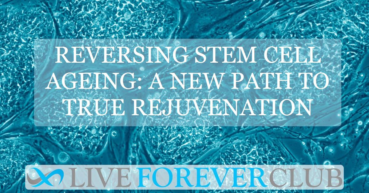 Reversing stem cell ageing: A new path to true rejuvenation