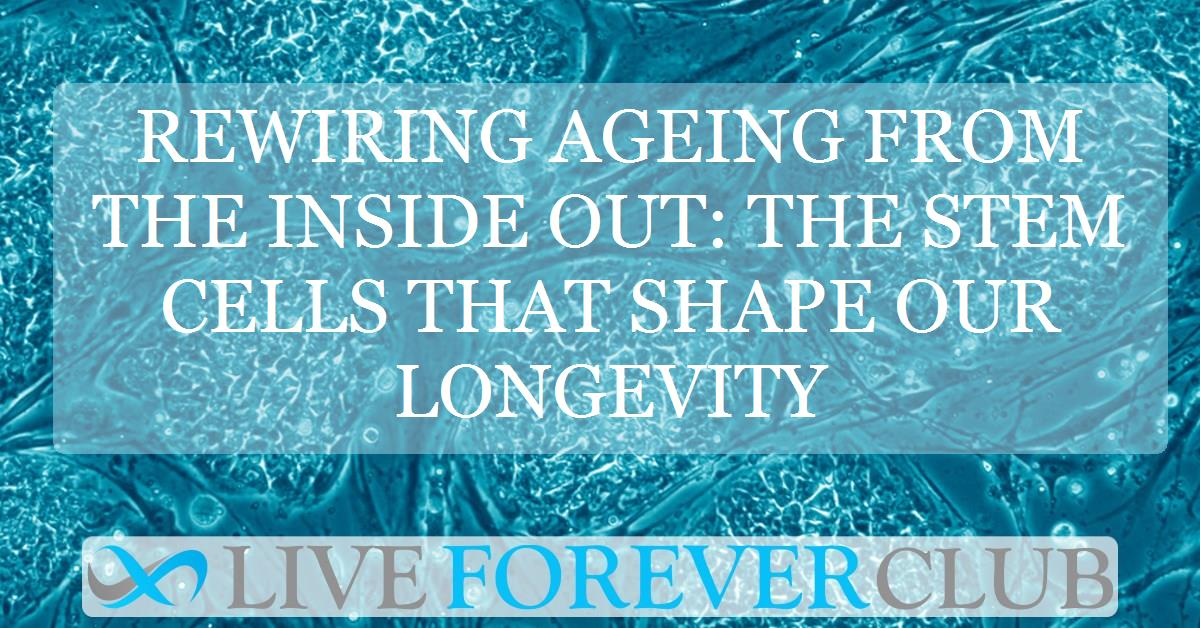 Rewiring ageing from the inside out: the stem cells that shape our longevity