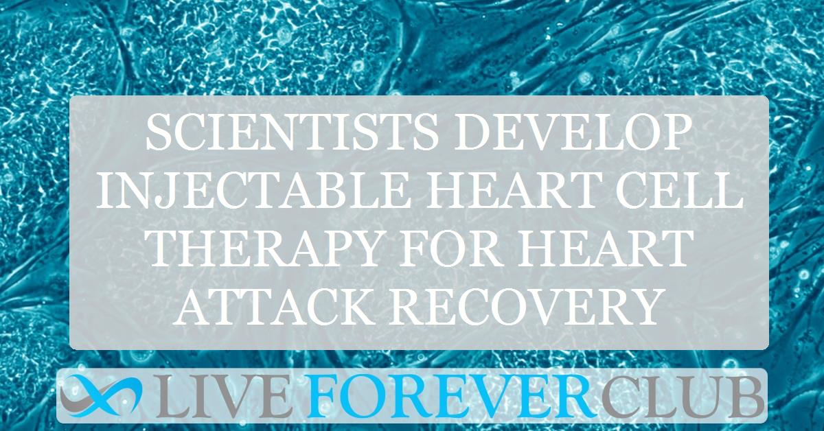 Scientists develop injectable heart cell therapy for heart attack recovery