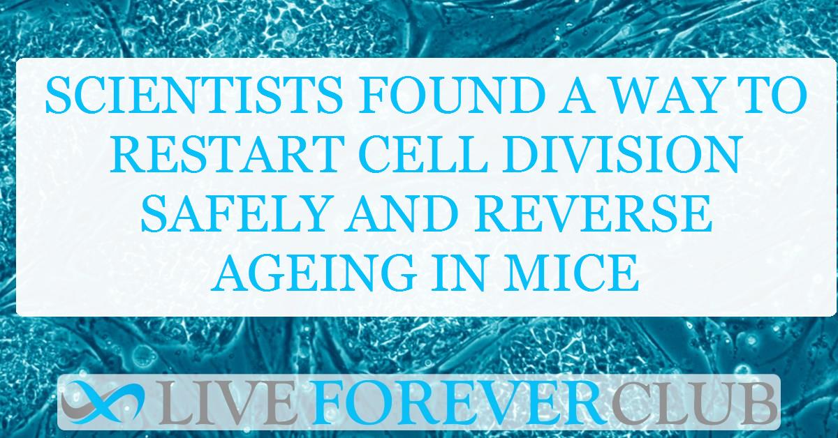 Scientists found a way to restart cell division safely and reverse ageing in mice