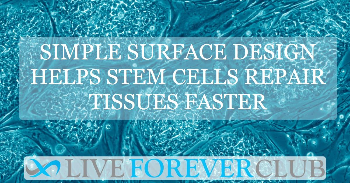Simple surface design helps stem cells repair tissues faster