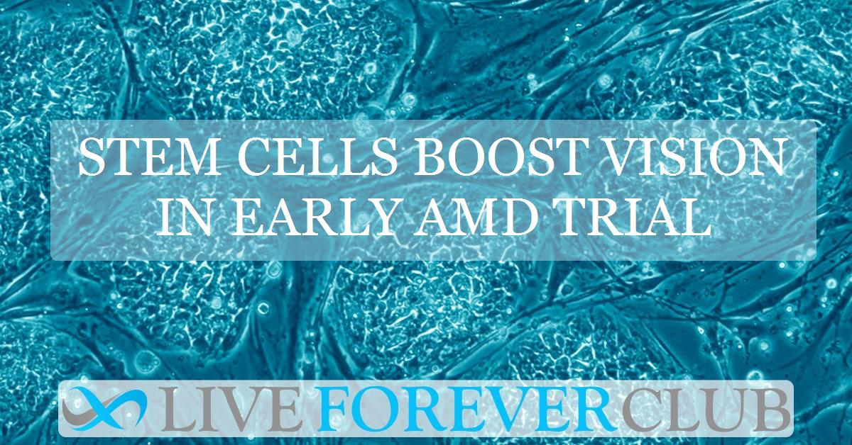 Stem cells boost vision in early AMD trial