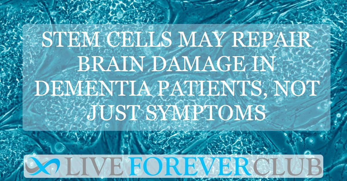 Stem cells may repair brain damage in dementia patients, not just symptoms