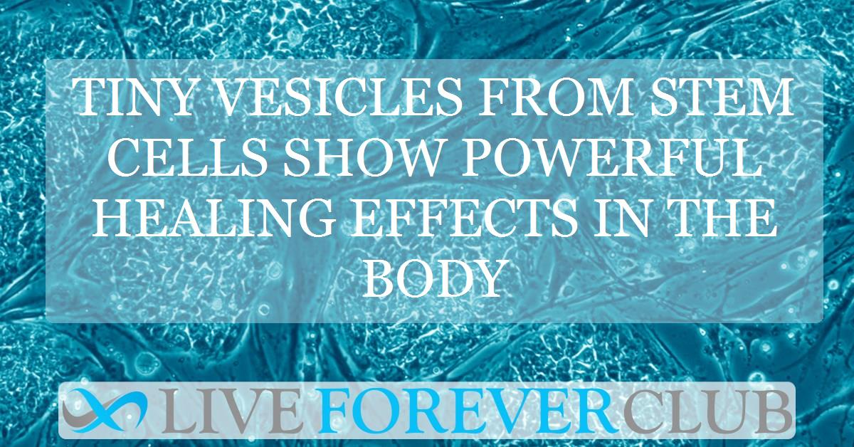 Tiny vesicles from stem cells show powerful healing effects in the body