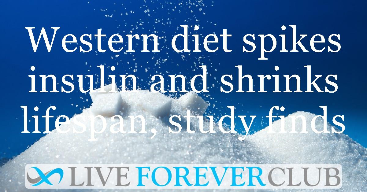 Western diet spikes insulin and shrinks lifespan, study finds