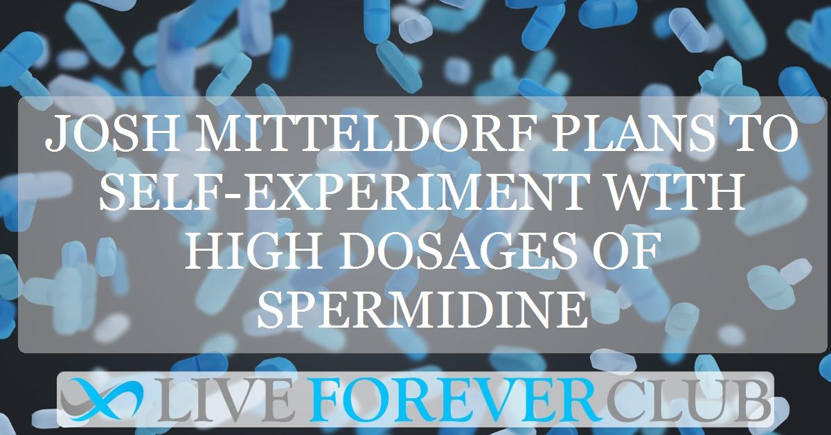 Josh Mitteldorf plans to self-experiment with high dosages of spermidine