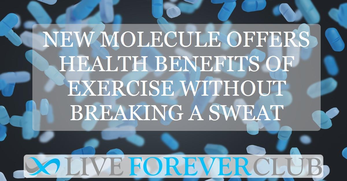 New molecule offers health benefits of exercise without breaking a sweat