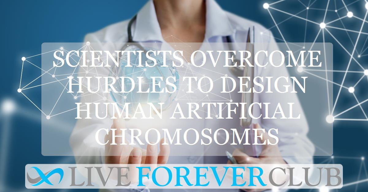 Scientists overcome hurdles to design human artificial chromosomes