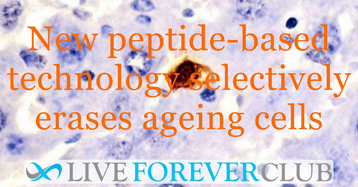 New peptide-based technology selectively erases ageing cells