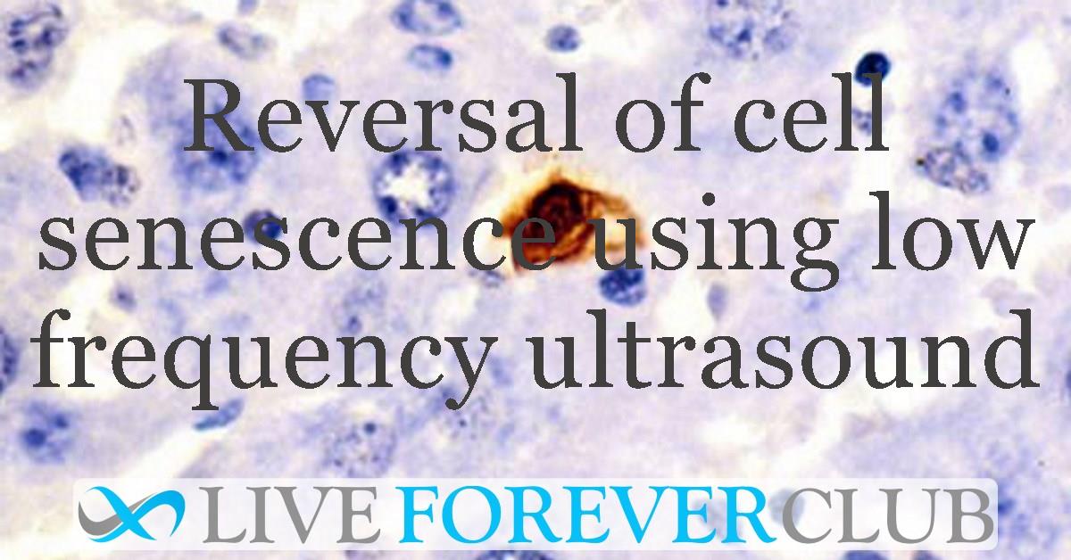 Reversal of cell senescence using low frequency ultrasound
