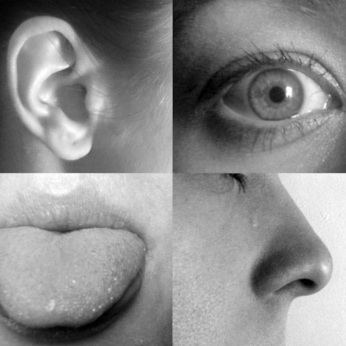 More Senses information, news and resources