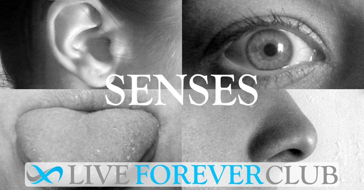 Senses