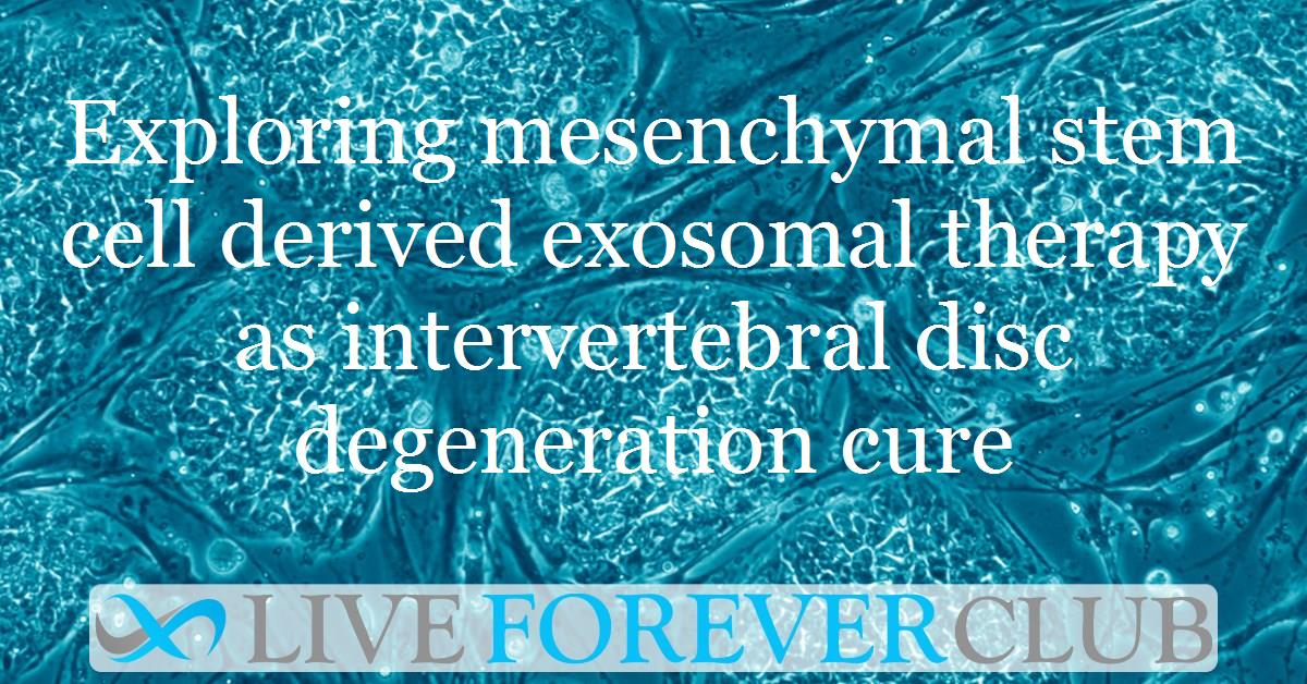 Exploring mesenchymal stem cell derived exosomal therapy as intervertebral disc degeneration cure