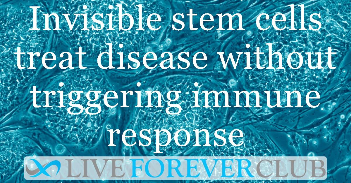 Invisible stem cells treat disease without triggering immune response