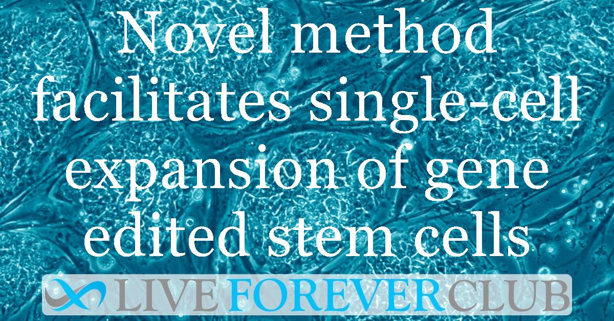 Novel method facilitates single-cell expansion of gene edited stem cells