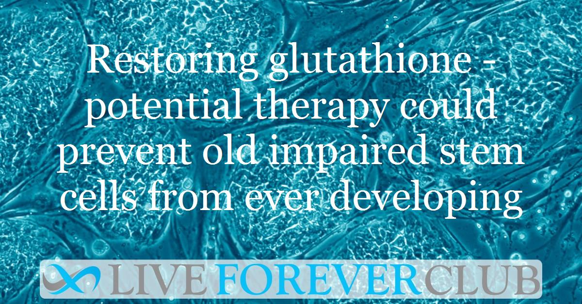 Restoring glutathione -potential therapy could prevent old impaired stem cells from ever developing